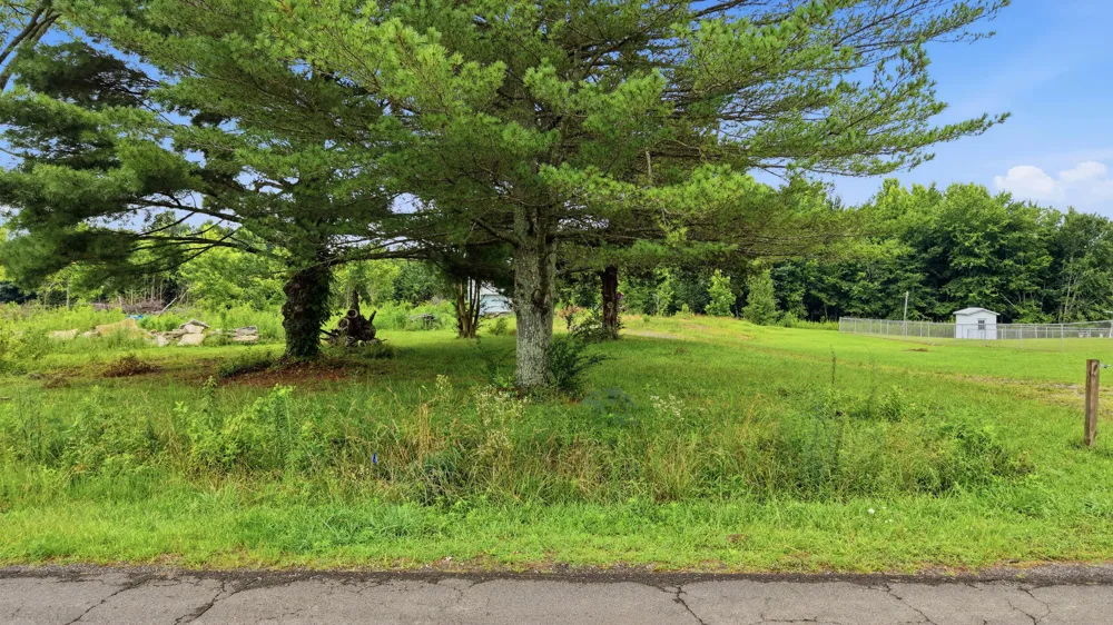 309 County Road 315 Bryant, AL 35958