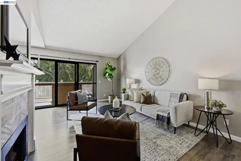 37200 Meadowbrook Cmn #203