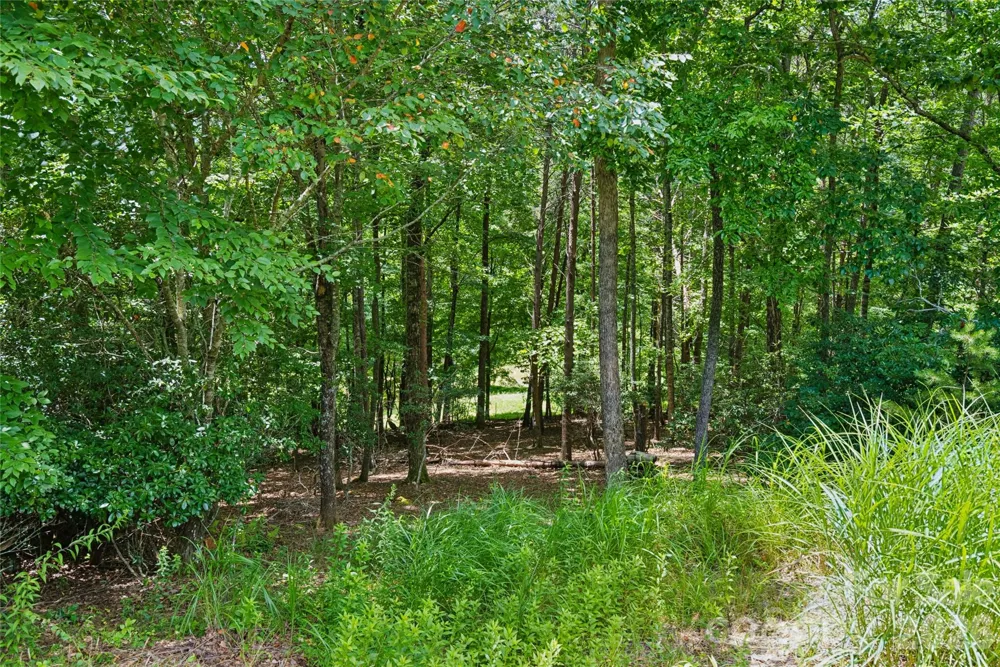 1545 Country View Way #302 Arden, NC 28704