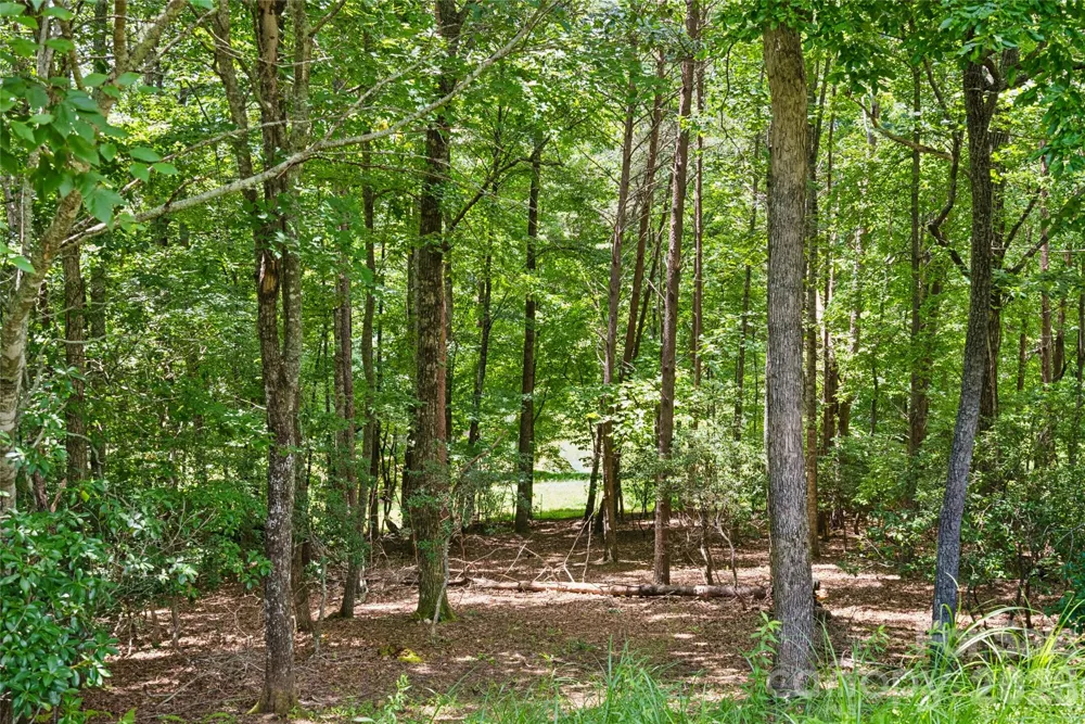 1545 Country View Way #302 Arden, NC 28704