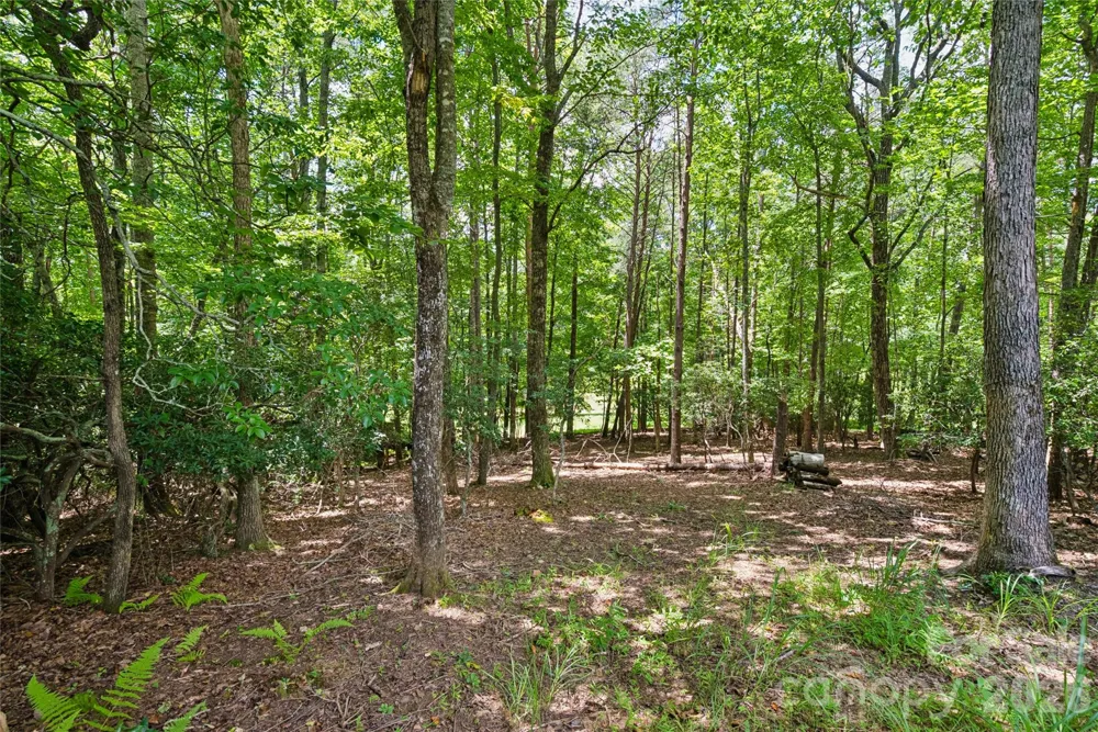 1545 Country View Way #302 Arden, NC 28704