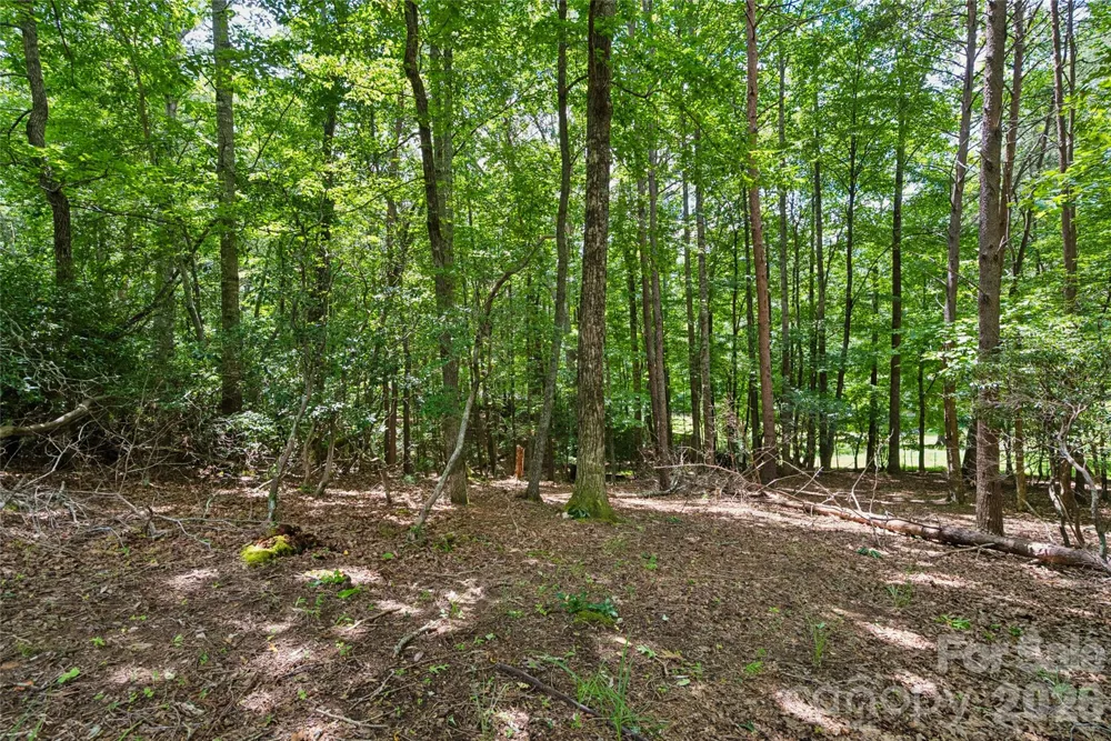 1545 Country View Way #302 Arden, NC 28704