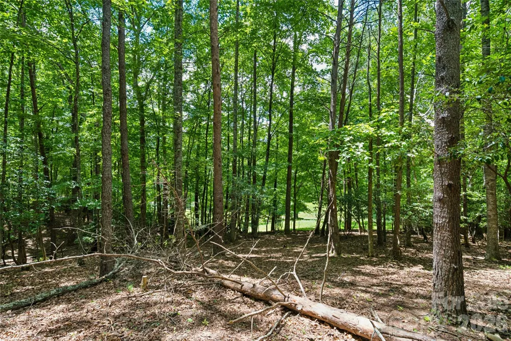 1545 Country View Way #302 Arden, NC 28704