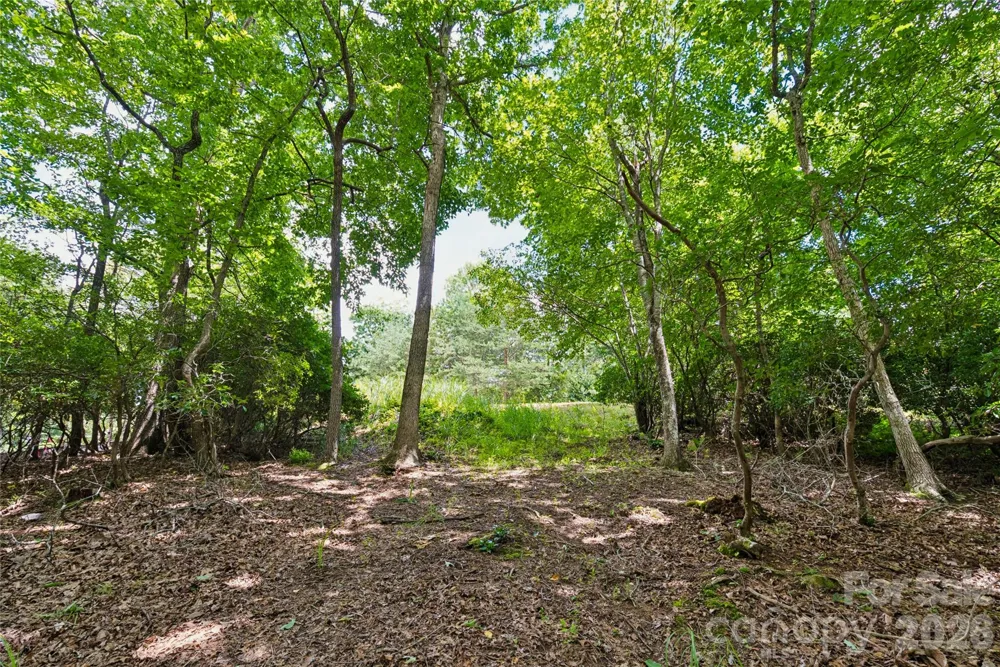 1545 Country View Way #302 Arden, NC 28704
