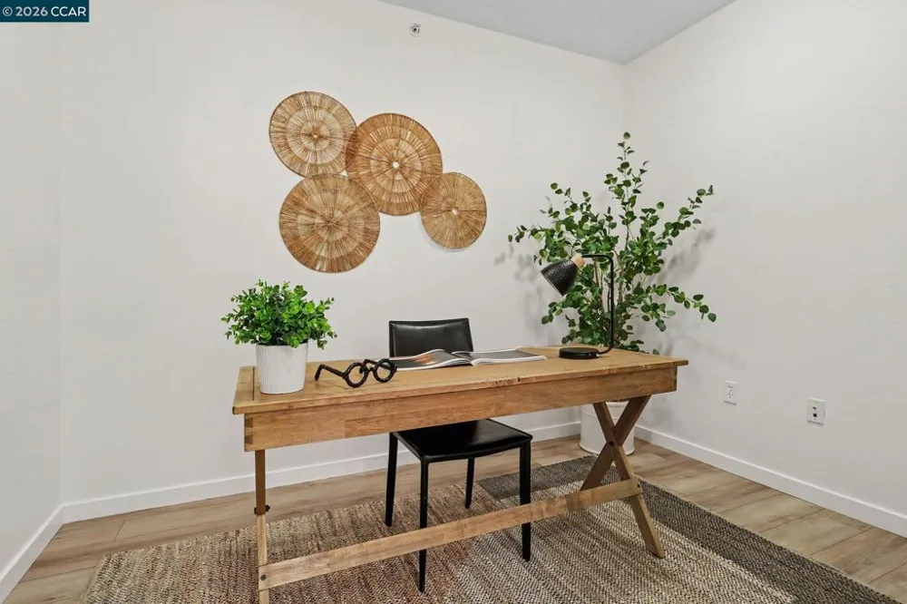1655 California Blvd. #242 Walnut Creek, CA 94596