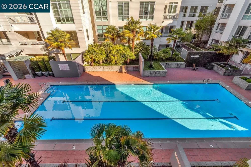 1655 California Blvd. #242 Walnut Creek, CA 94596