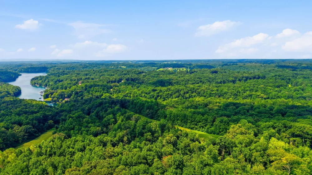 0 Chestnut Ridge Rd Lynchburg, TN 37352