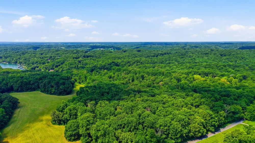 0 Chestnut Ridge Rd Lynchburg, TN 37352