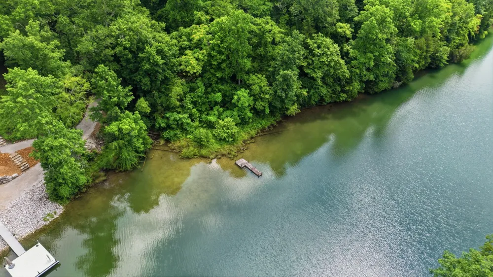 0 Chestnut Ridge Rd Lynchburg, TN 37352