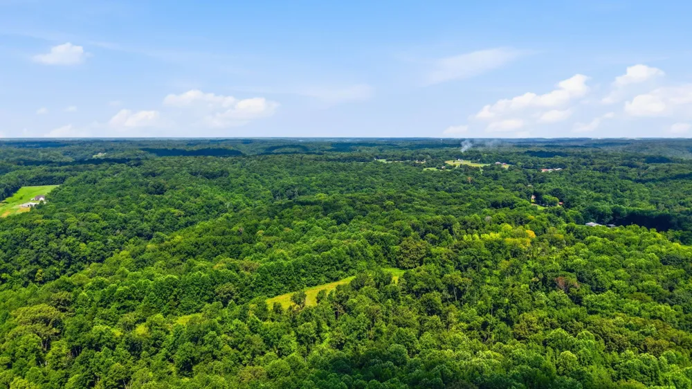 0 Chestnut Ridge Rd Lynchburg, TN 37352