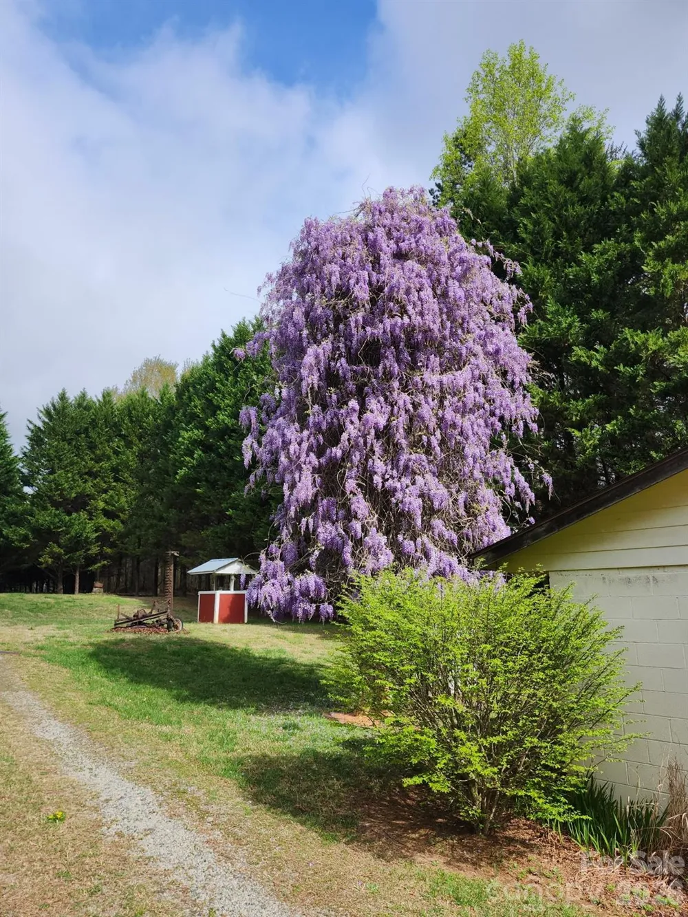 3323 Sadler Road Alexis, NC 28006