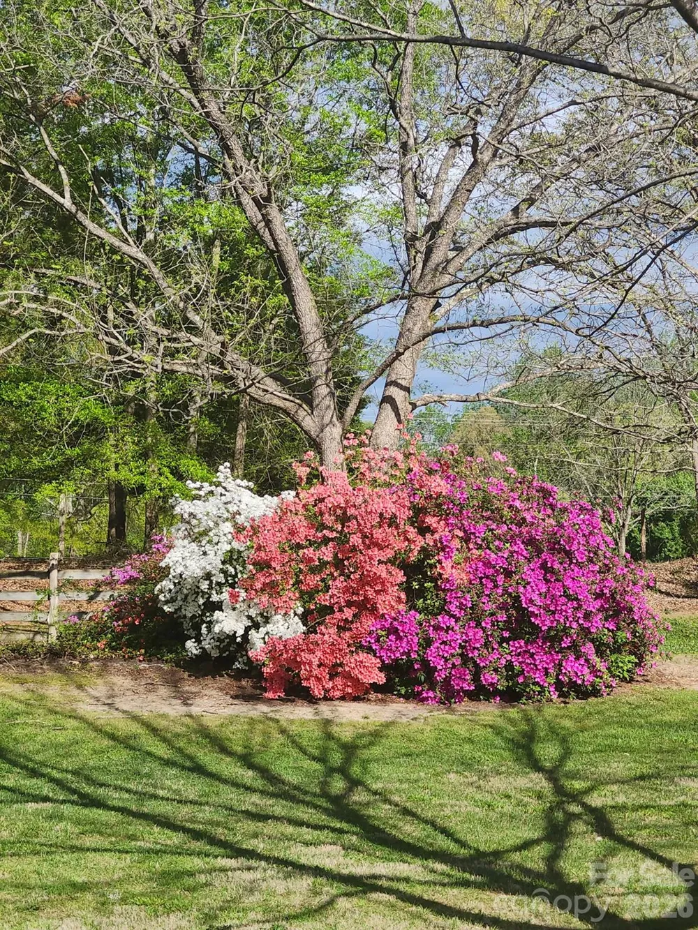 3323 Sadler Road Alexis, NC 28006