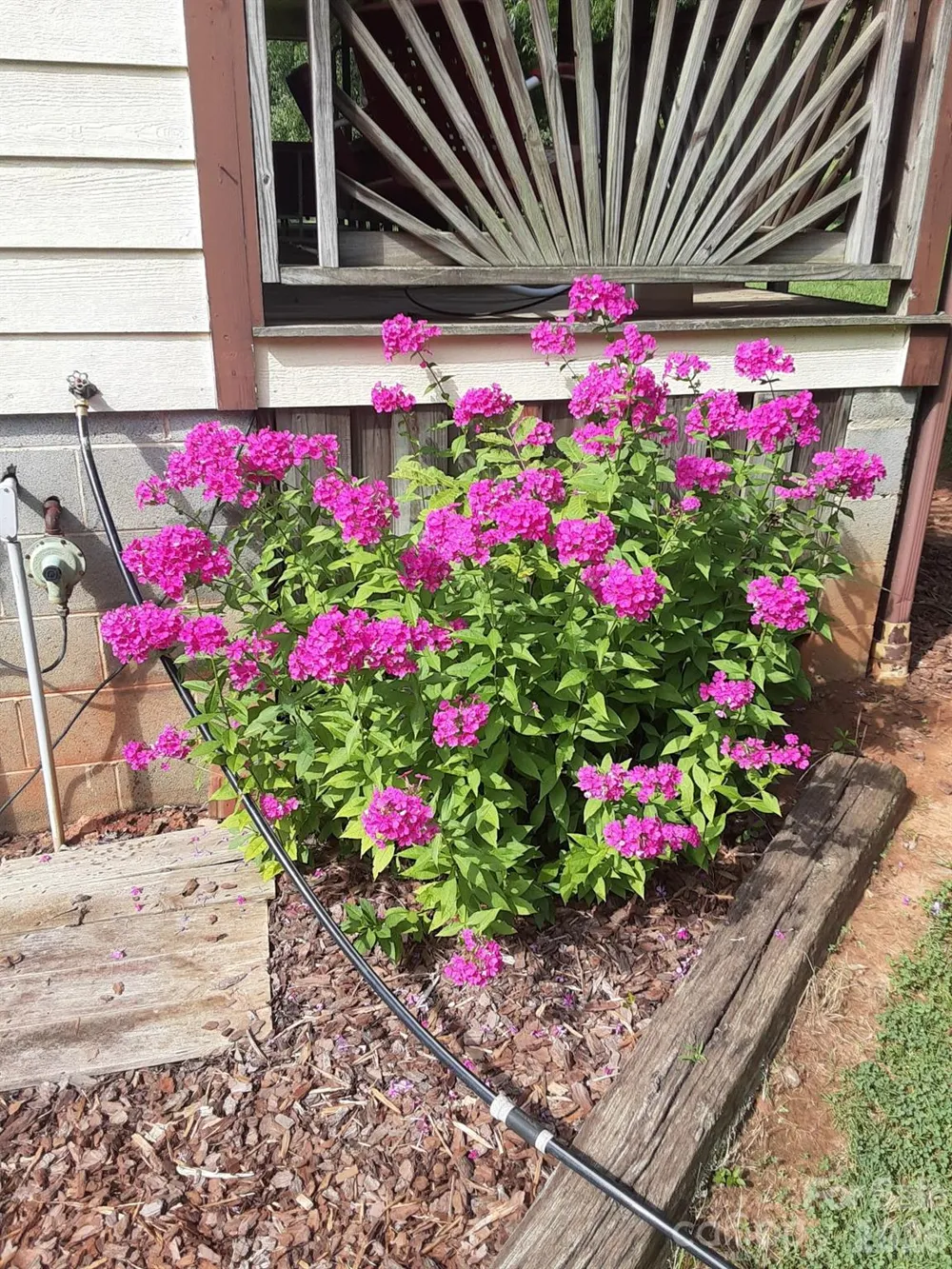 3323 Sadler Road Alexis, NC 28006