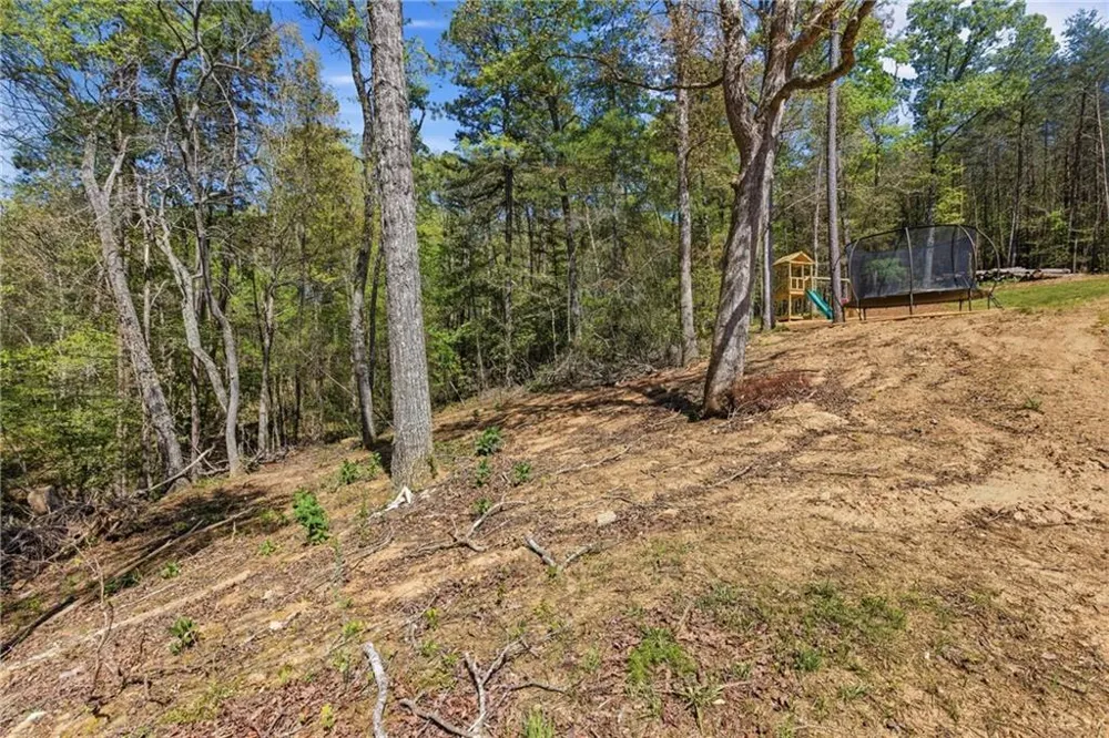 1655 Pardue Mill Road Demorest, GA 30535