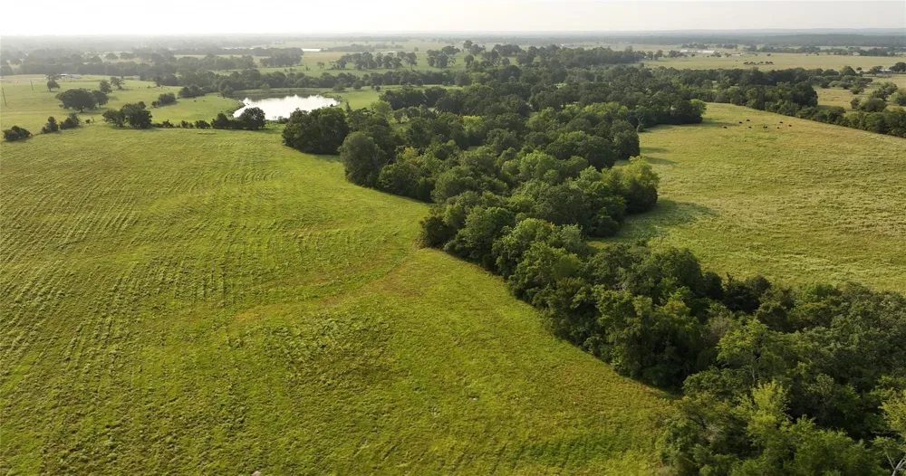 18 Baker Ridge Road Madisonville, TX 75852