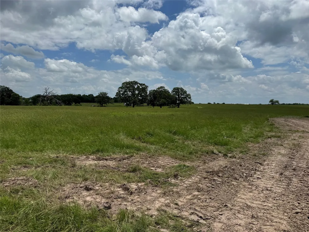 18 Baker Ridge Road Madisonville, TX 75852