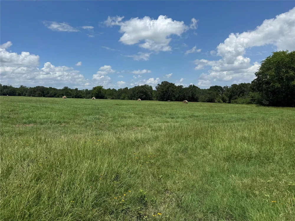 18 Baker Ridge Road Madisonville, TX 75852