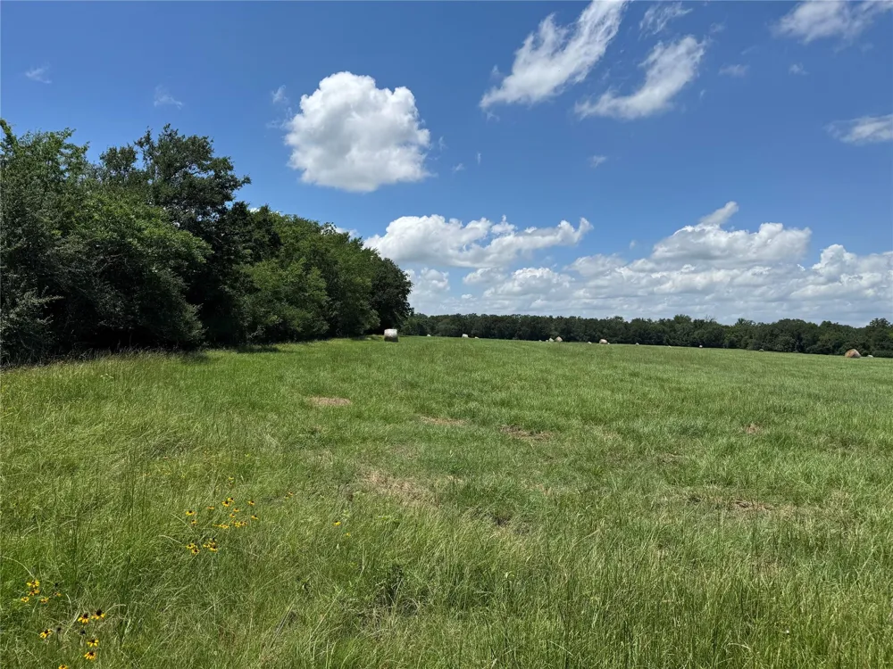 18 Baker Ridge Road Madisonville, TX 75852