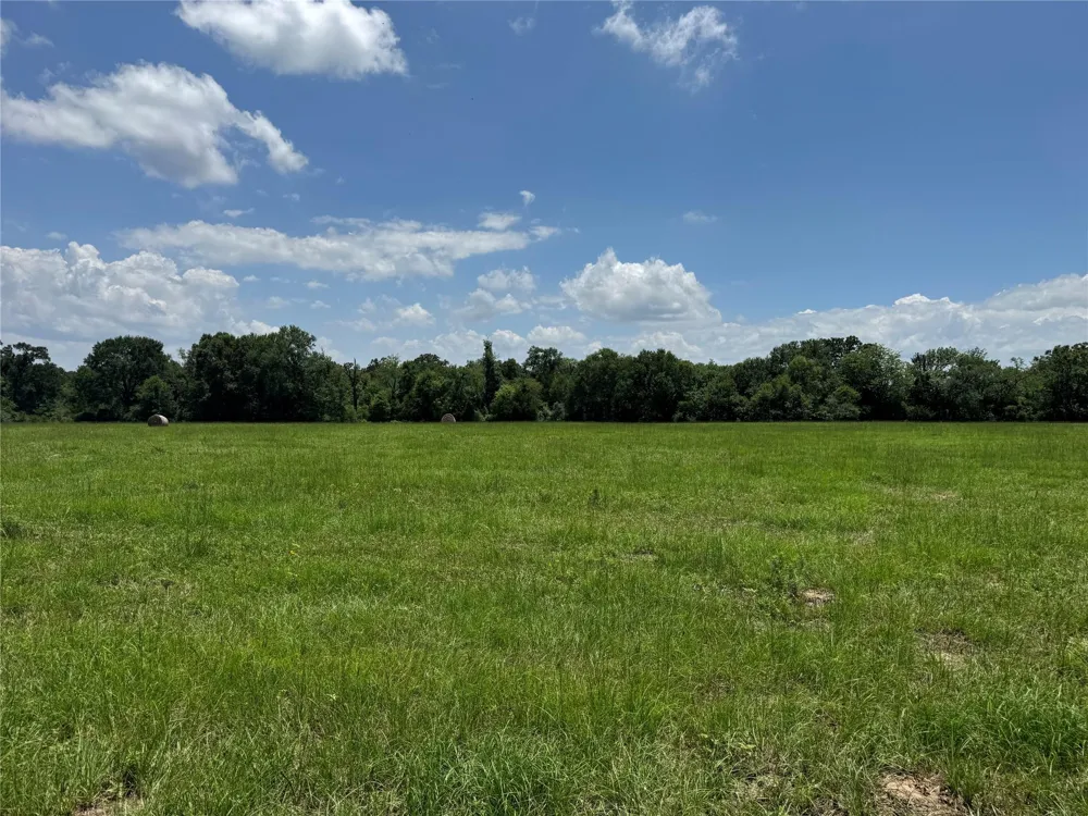 18 Baker Ridge Road Madisonville, TX 75852