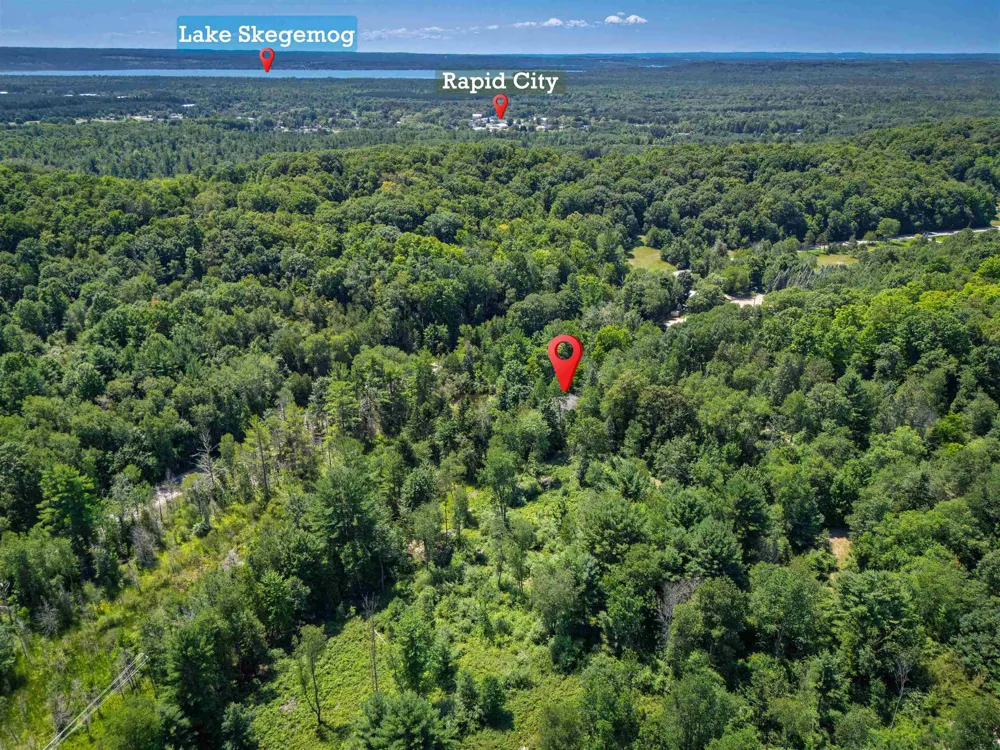 4724 Plum Valley Road NW Clearwater Township, MI 49676