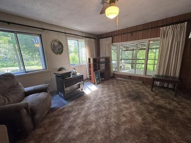 4724 Plum Valley Road NW Clearwater Township, MI 49676
