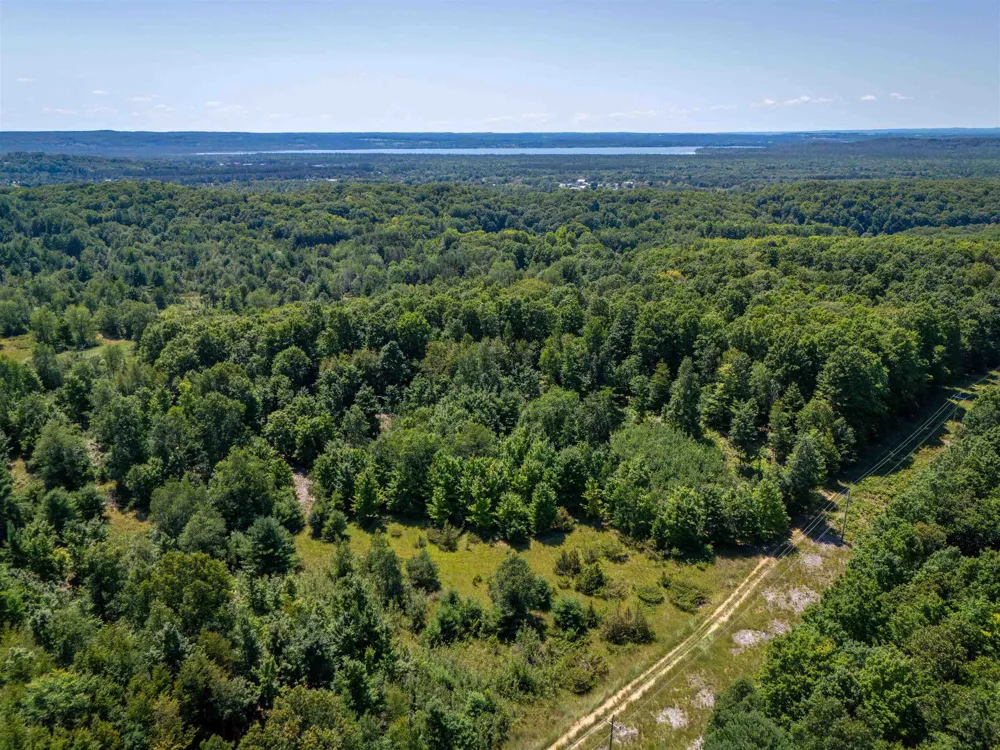 4724 Plum Valley Road NW Clearwater Township, MI 49676