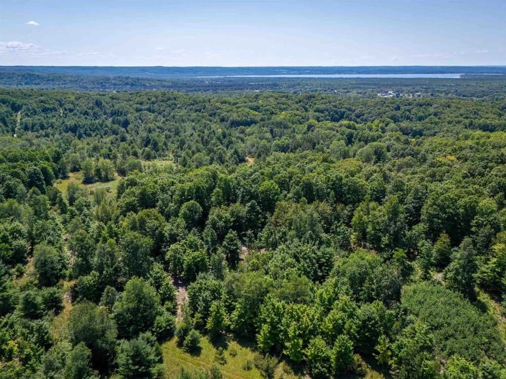 4724 Plum Valley Road NW Clearwater Township, MI 49676