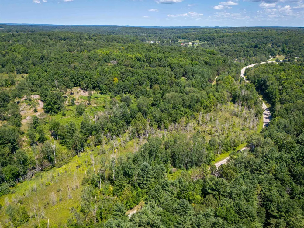 4724 Plum Valley Road NW Clearwater Township, MI 49676