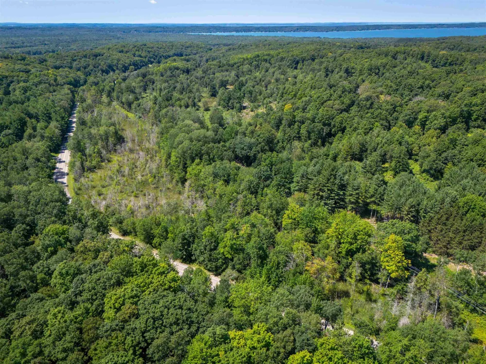 4724 Plum Valley Road NW Clearwater Township, MI 49676