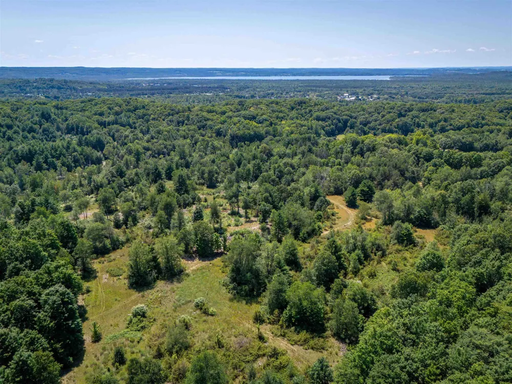 4724 Plum Valley Road NW Clearwater Township, MI 49676