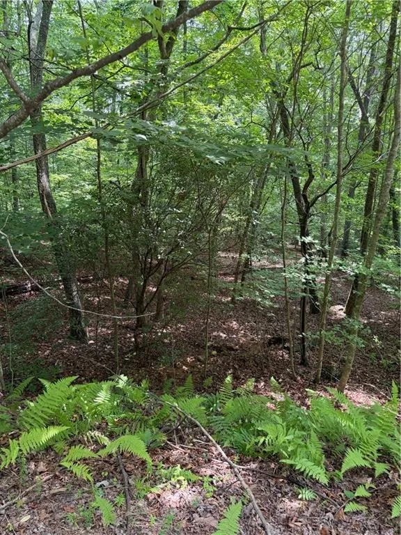 13 Pinnacle Court Blairsville, GA 30512