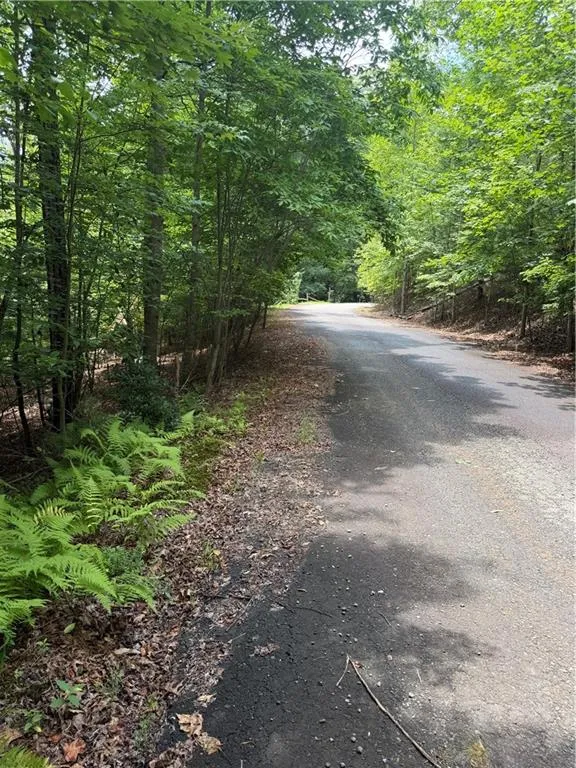 13 Pinnacle Court Blairsville, GA 30512