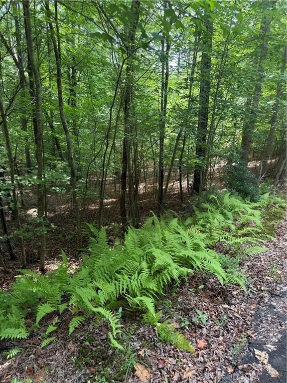 13 Pinnacle Court Blairsville, GA 30512