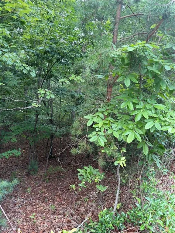 13 Pinnacle Court Blairsville, GA 30512
