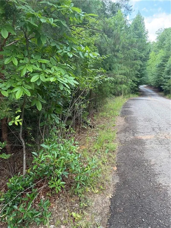 13 Pinnacle Court Blairsville, GA 30512