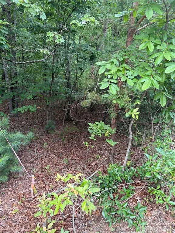 13 Pinnacle Court Blairsville, GA 30512