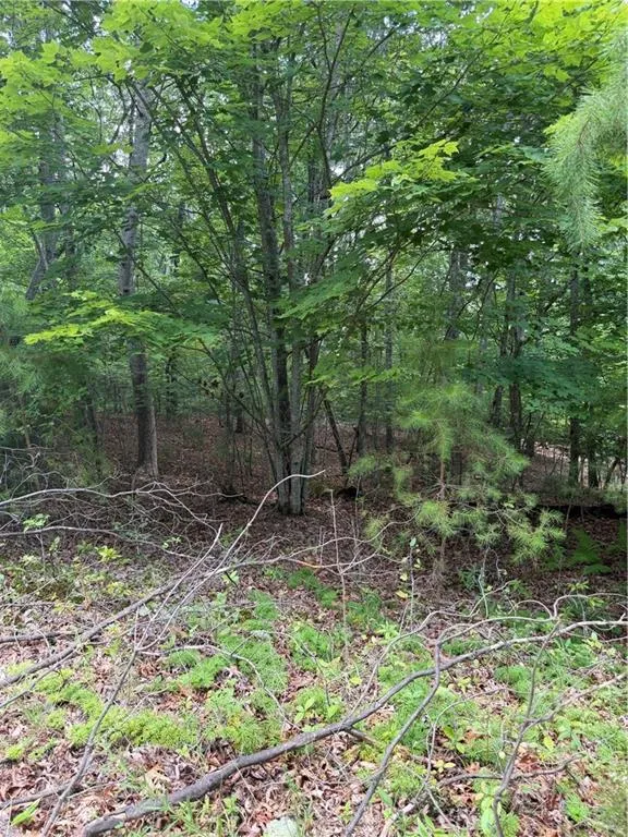 13 Pinnacle Court Blairsville, GA 30512