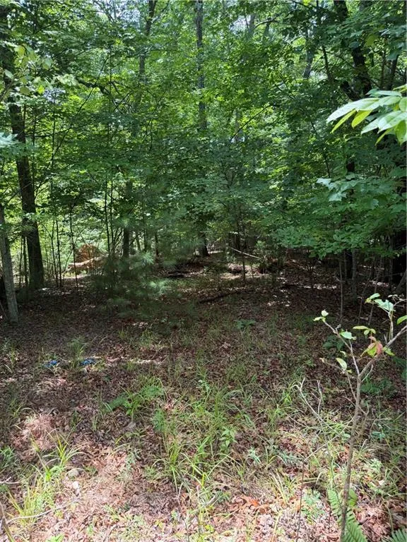 13 Pinnacle Court Blairsville, GA 30512