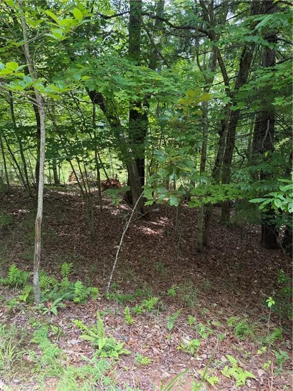 13 Pinnacle Court Blairsville, GA 30512