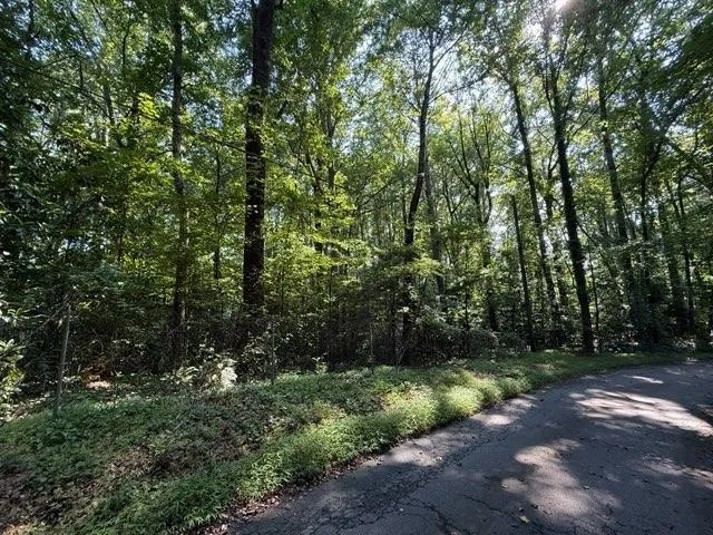 1541 Withmoor Terrace Austell, GA 30168
