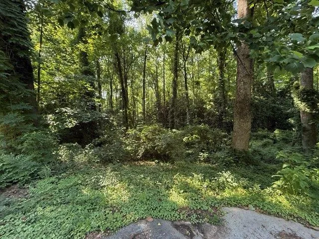 1541 Withmoor Terrace Austell, GA 30168