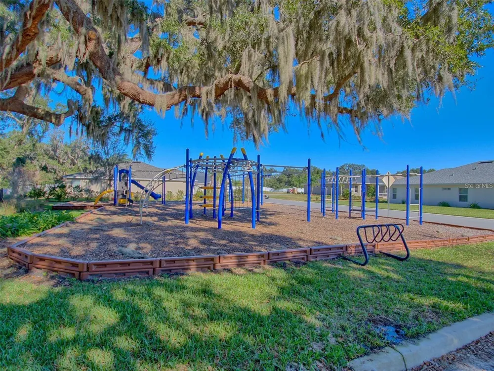 10212 JULIA ISLES AVENUE Oxford, FL 34484