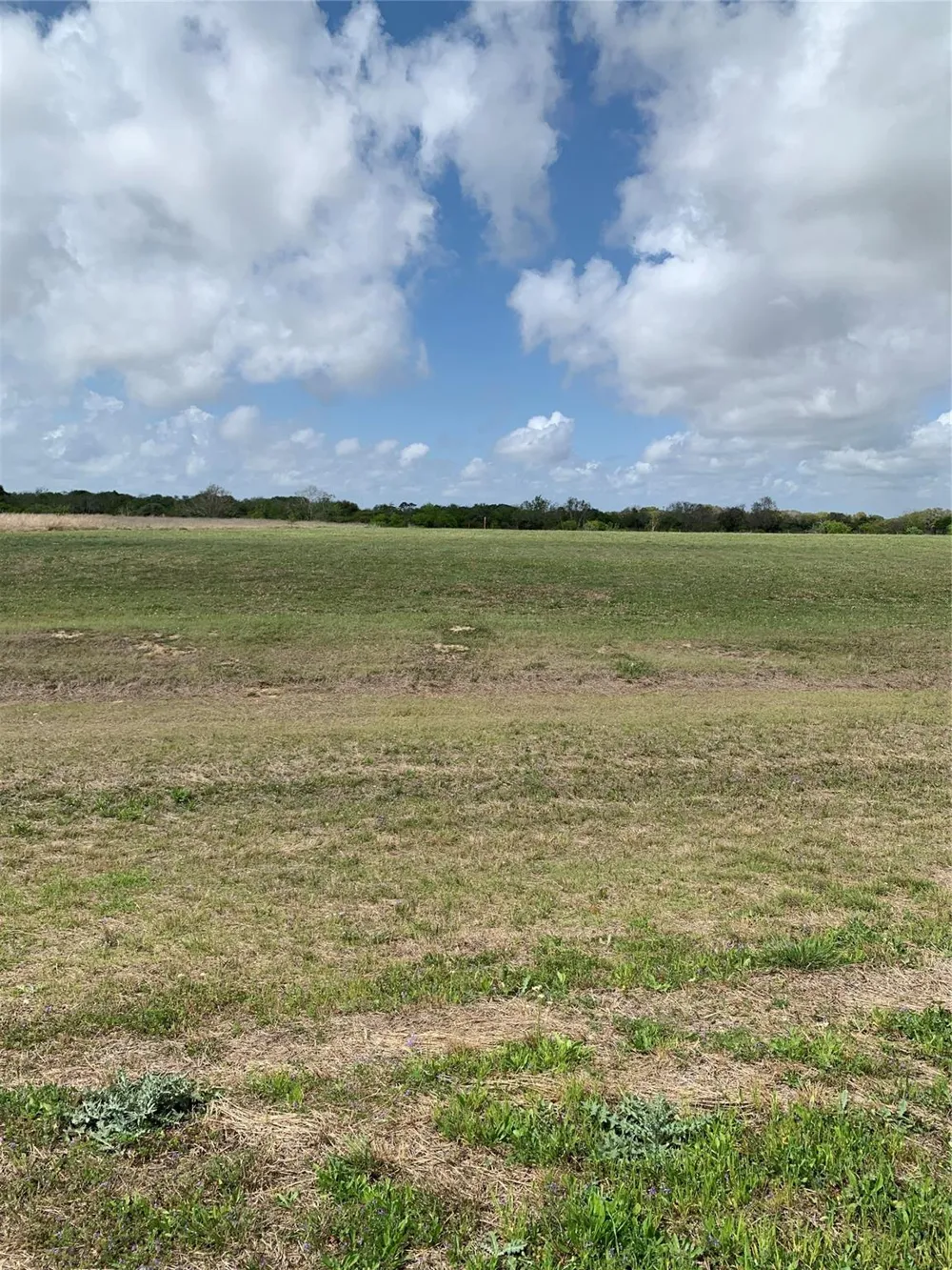 79 Cape Shores Drive Palacios, TX 77465