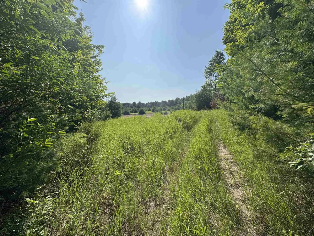 E Bellinger Road Kasson Township, MI 49621