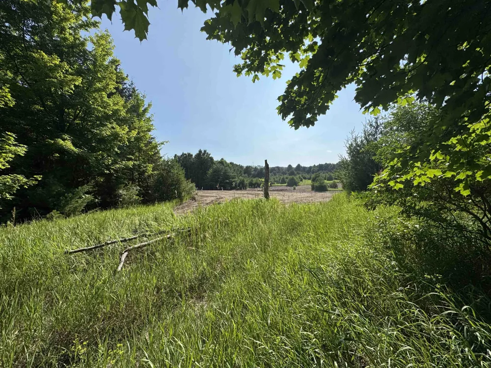 E Bellinger Road Kasson Township, MI 49621