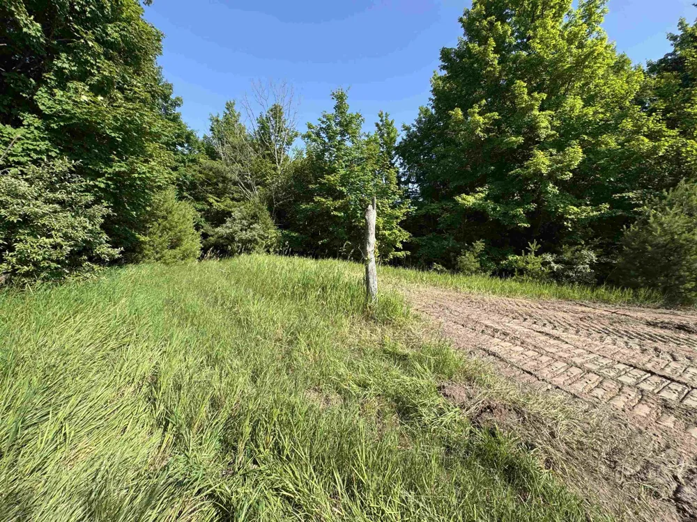 E Bellinger Road Kasson Township, MI 49621