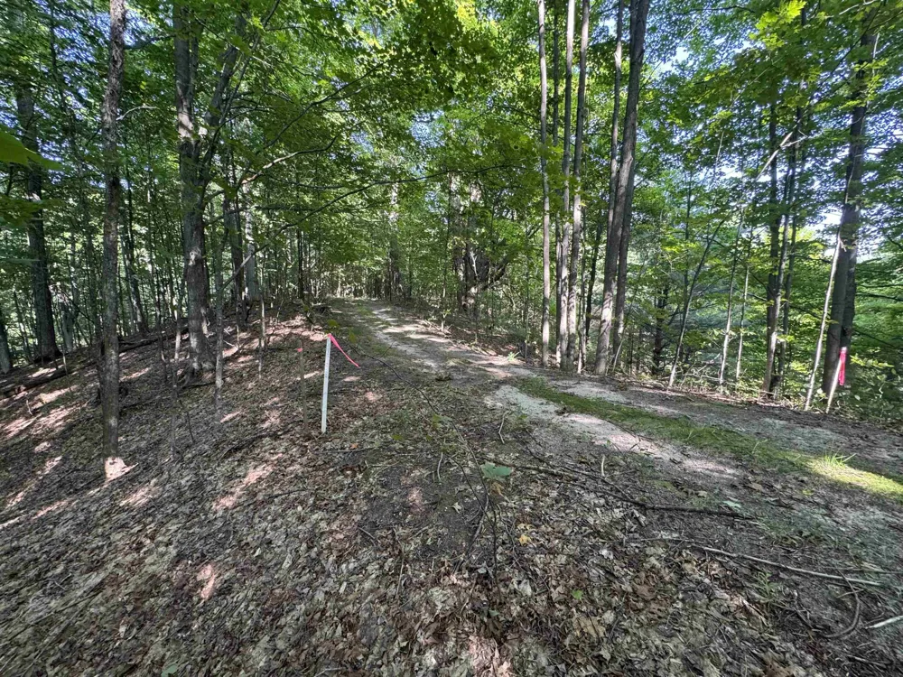 E Bellinger Road Kasson Township, MI 49621