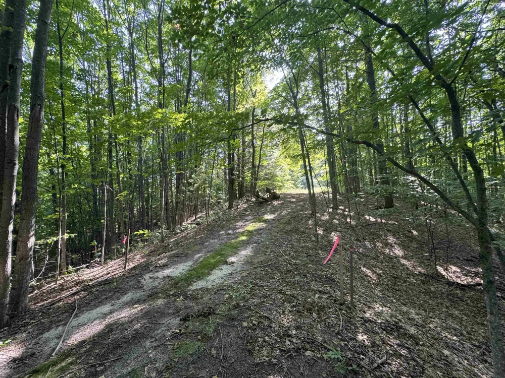 E Bellinger Road Kasson Township, MI 49621