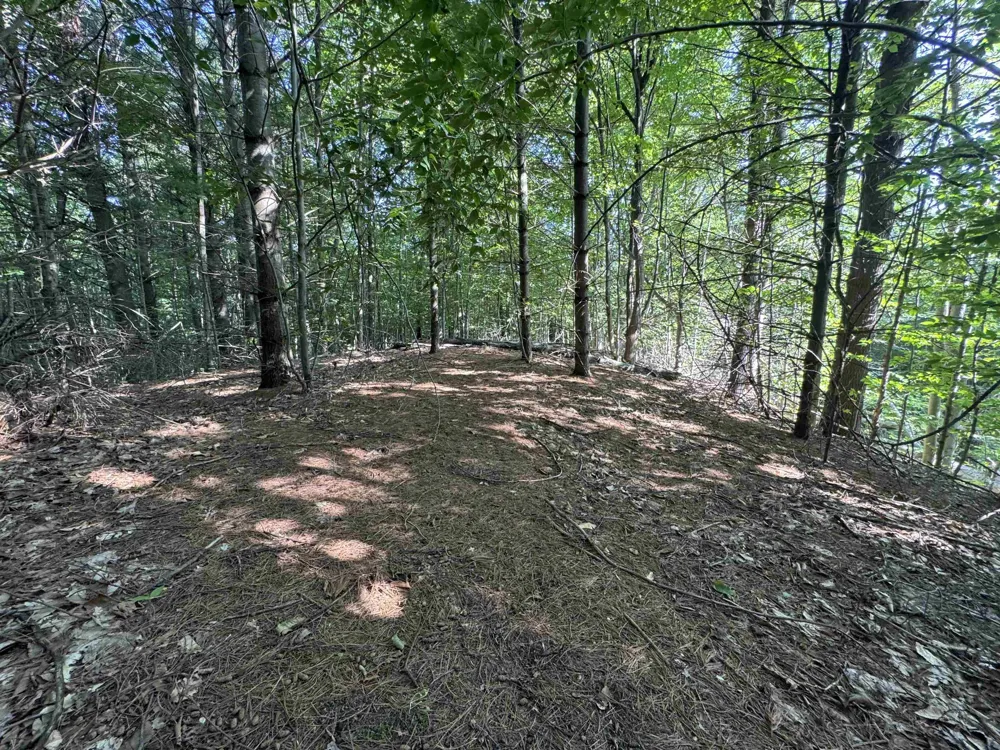 E Bellinger Road Kasson Township, MI 49621