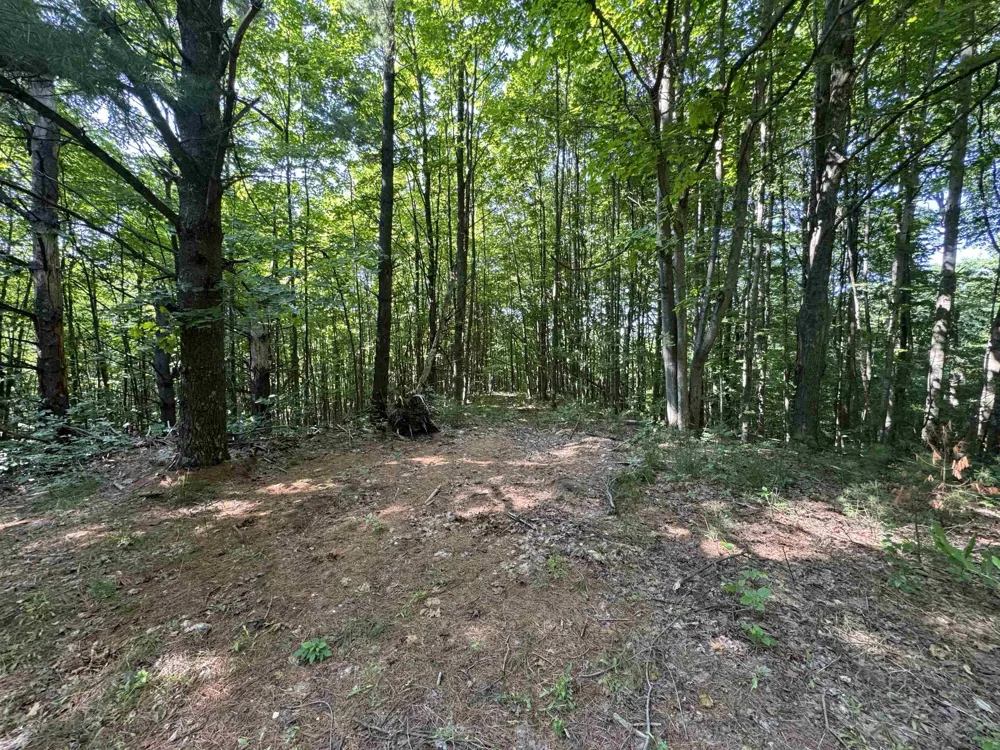 E Bellinger Road Kasson Township, MI 49621